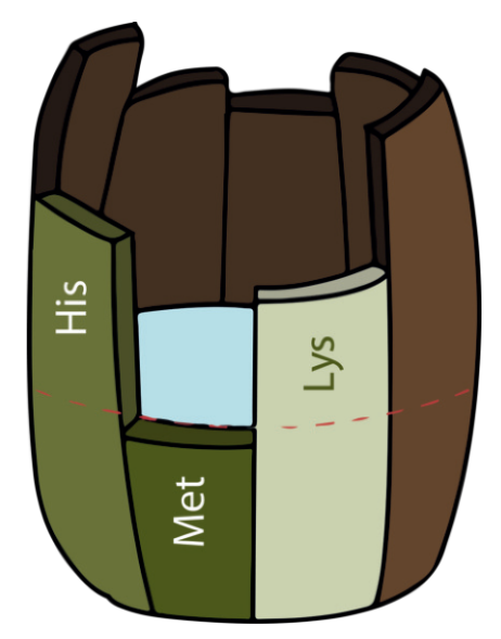 Afbeelding1 Afbeelding1